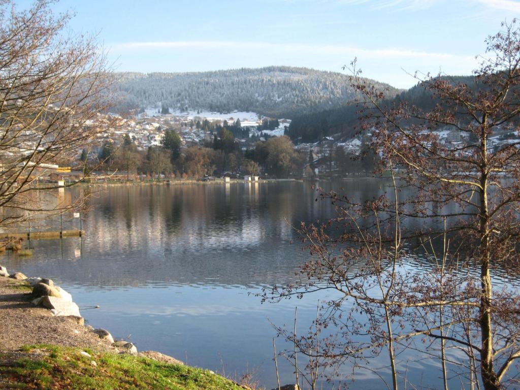 Hotel Restaurant De La Poste A Gérardmer Eksteriør billede