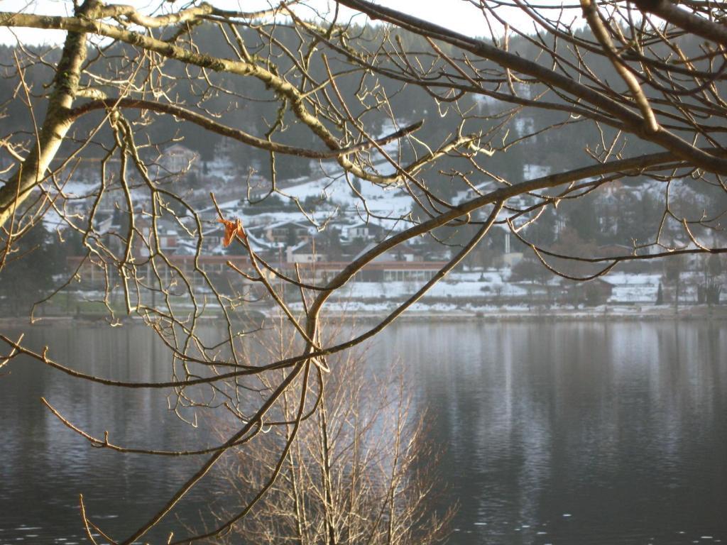 Hotel Restaurant De La Poste A Gérardmer Værelse billede